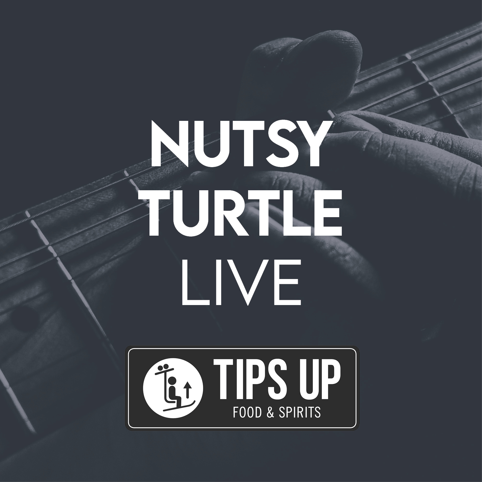 Nutsy Turtle